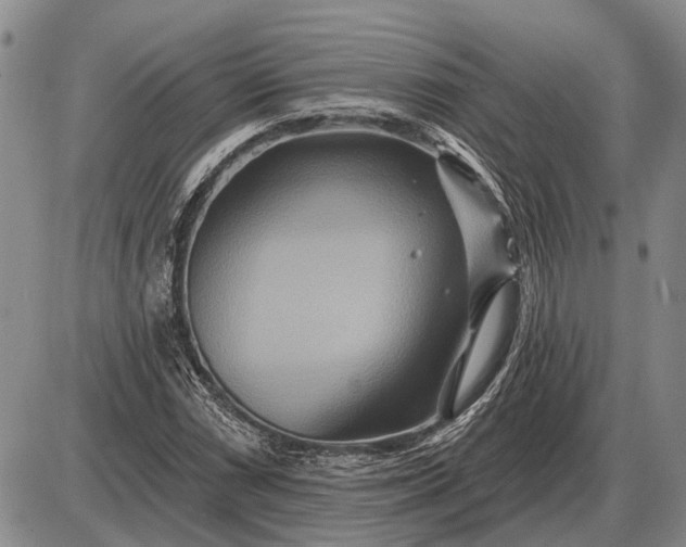 X0000085061066200703191319