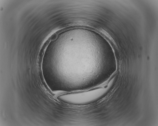 X0000085061068200703191319