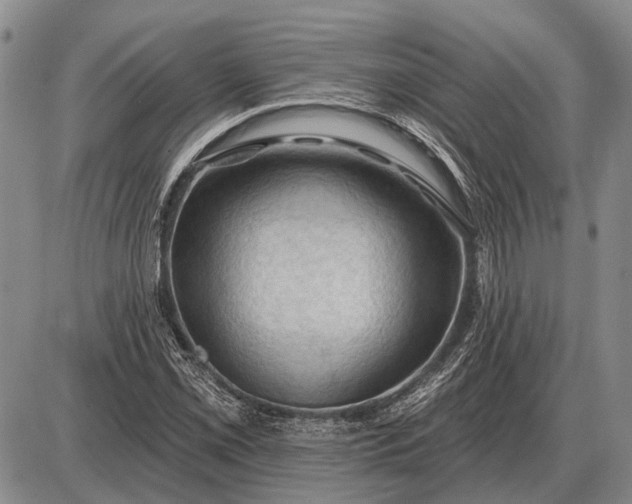 X0000085061069200703191319