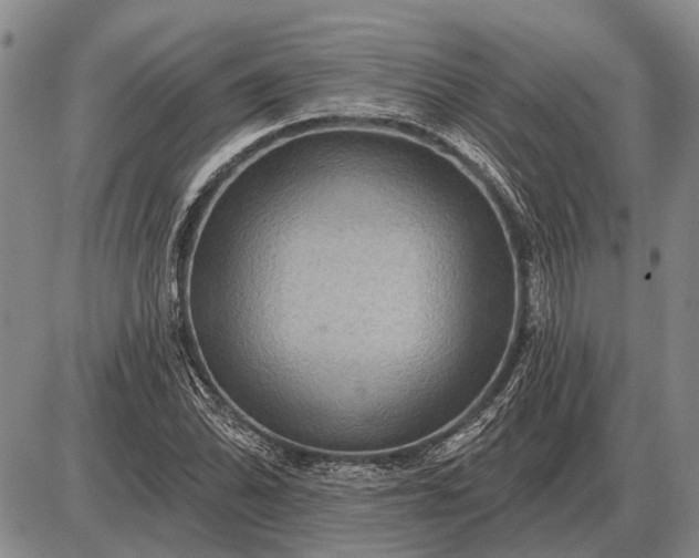 X0000085061070200703191319