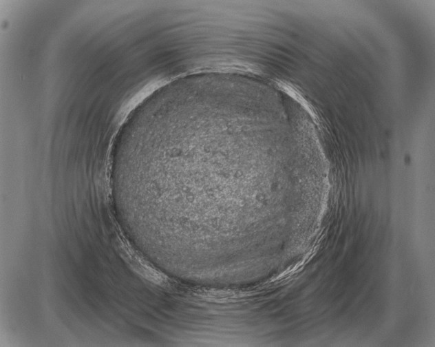 X0000085061071200703191319