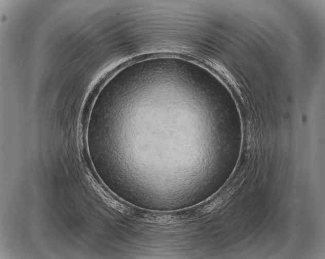 X0000085061072200703191319