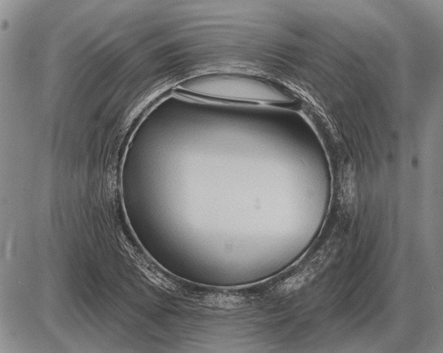 X0000085061073200703191319