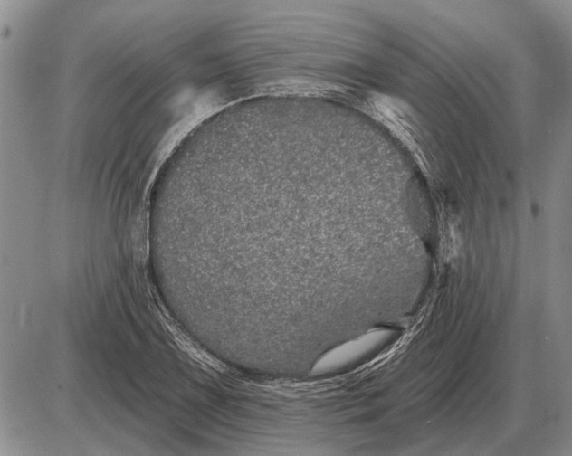 X0000085061075200703191319