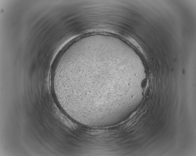 X0000085061076200703191319