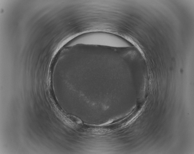 X0000085061077200703191319