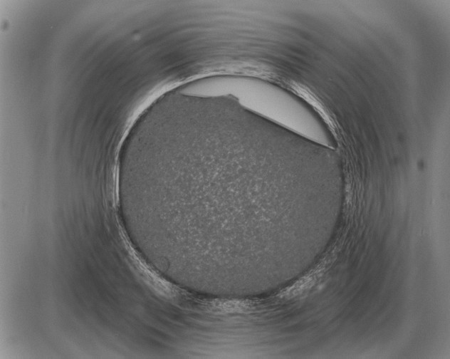 X0000085061079200703191319