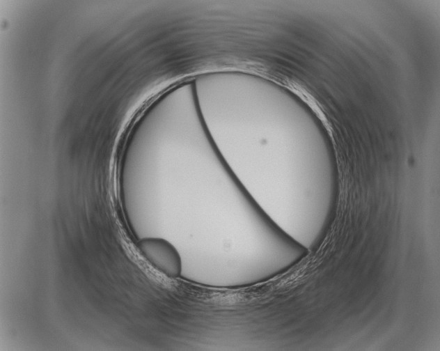 X0000085061080200703191319