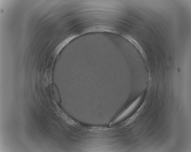 X0000085061081200703191318