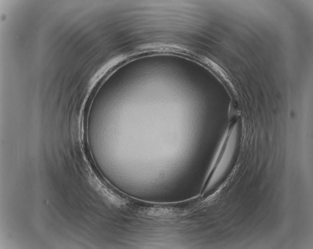 X0000085061082200703191318