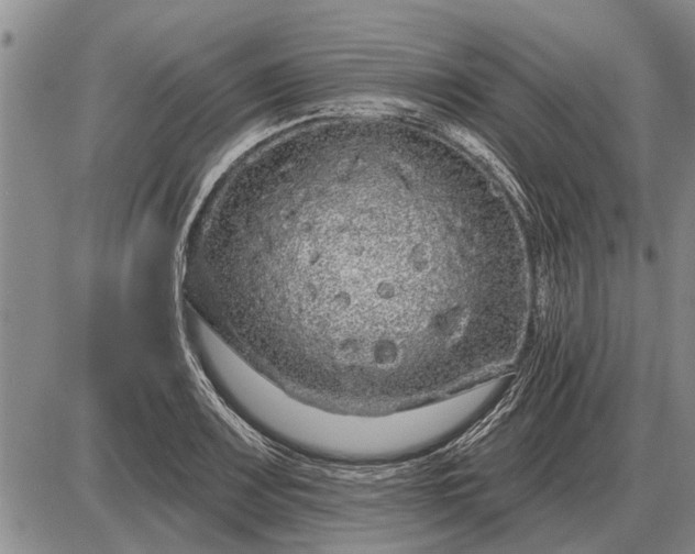 X0000085061083200703191318