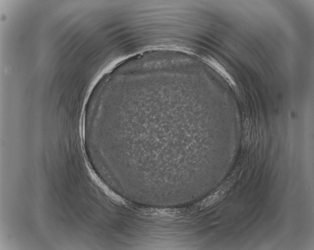 X0000085061084200703191318