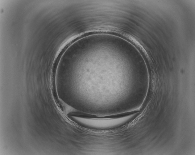 X0000085061085200703191318