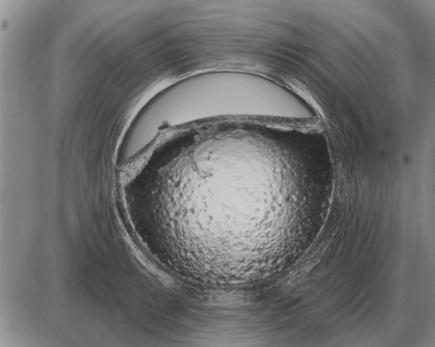 X0000085061087200703191318