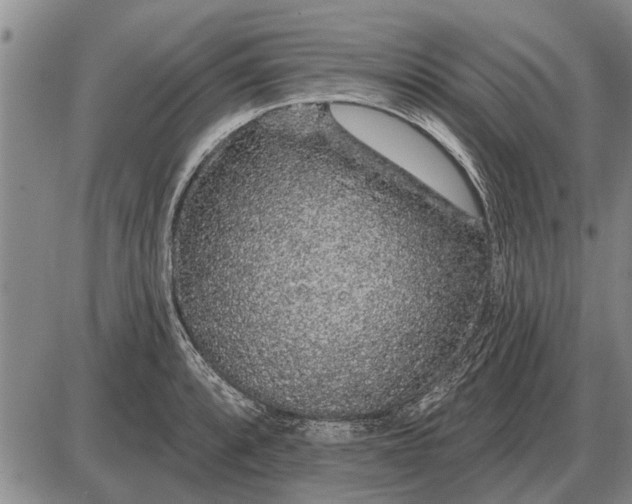 X0000085061088200703191318