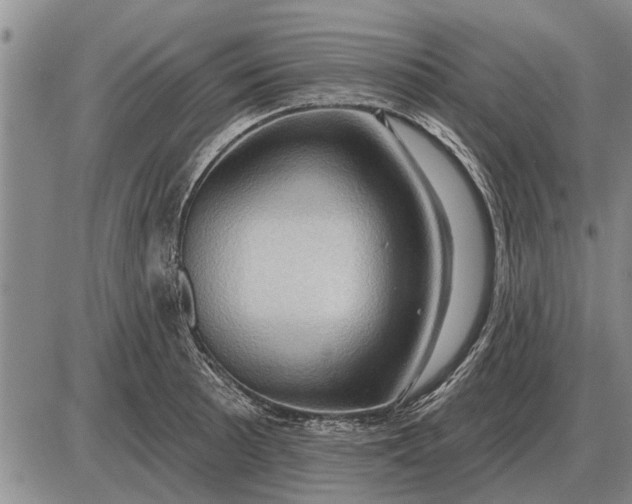 X0000085061089200703191318