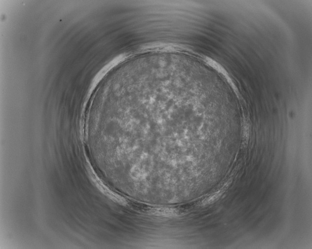 X0000085061090200703191318