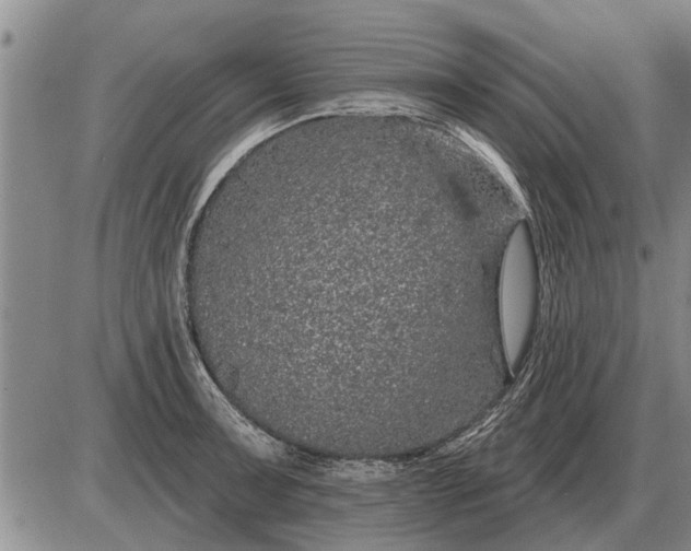 X0000085061091200703191318