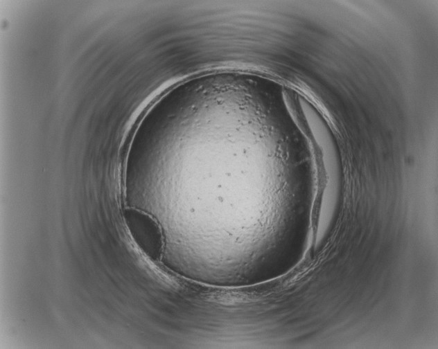 X0000085061092200703191318