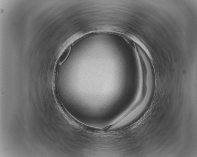 X0000085061093200703191318