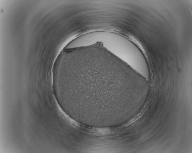 X0000085061095200703191318