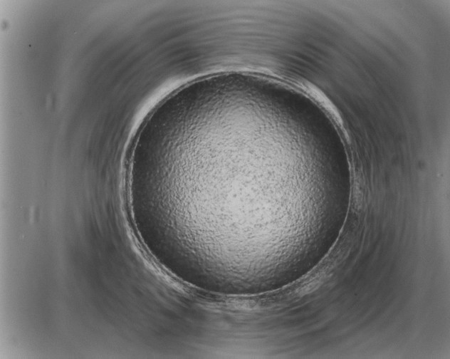 X0000085061096200703191318