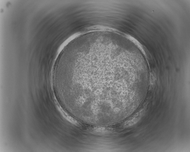 X0000085061098200703191318