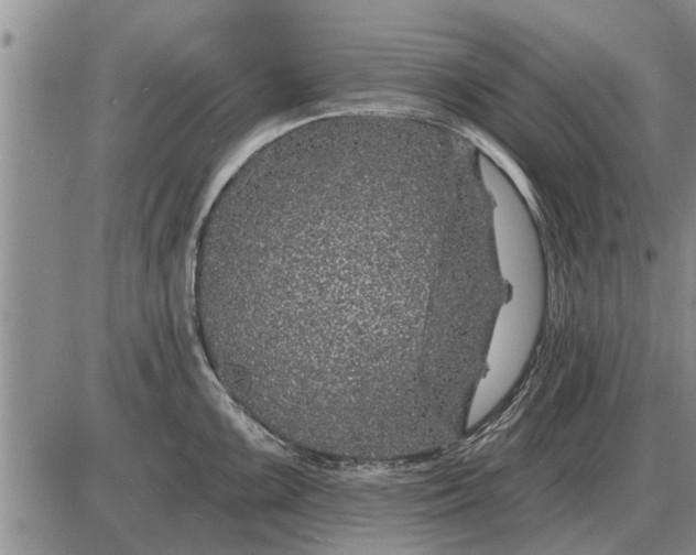 X0000085061099200703191318