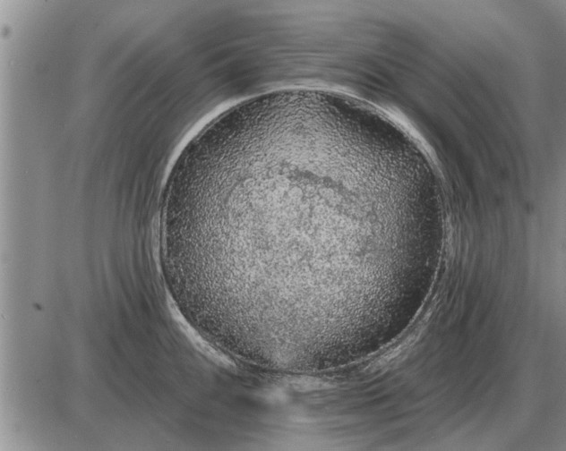 X0000085061100200703191318