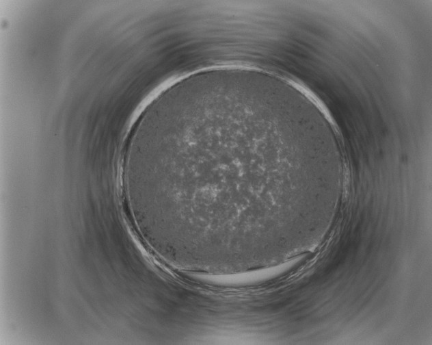 X0000085061101200703191318