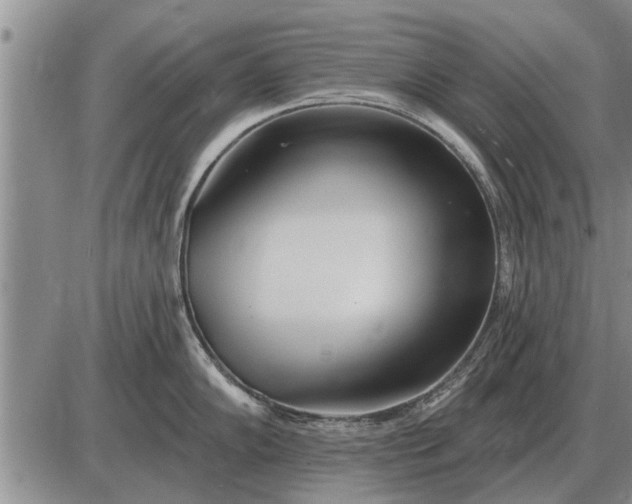 X0000085061102200703191318