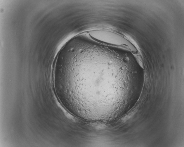 X0000085061103200703191318