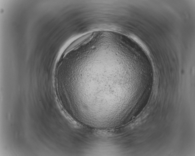 X0000085061104200703191318