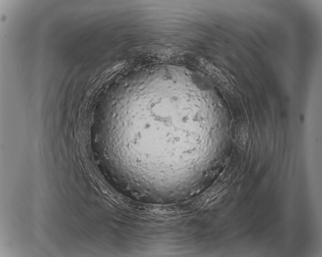 X0000085061105200703191317