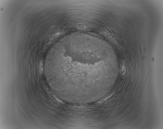 X0000085061106200703191317