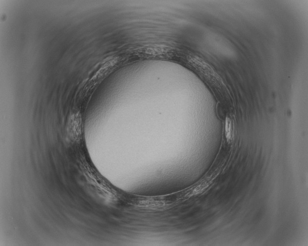 X0000085061107200703191317