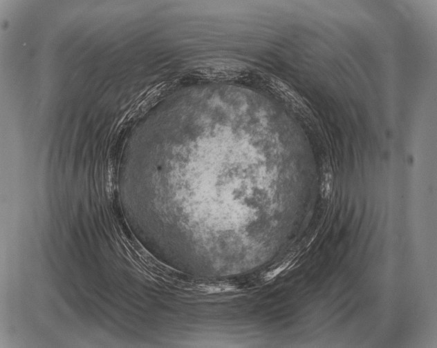 X0000085061108200703191317