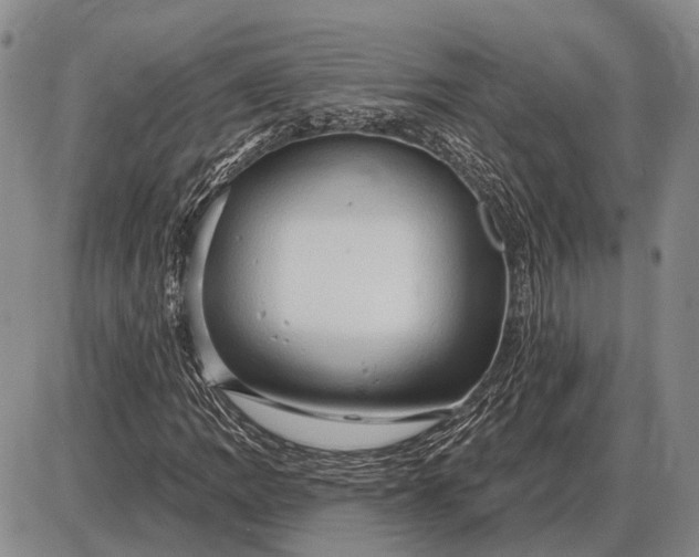 X0000085061109200703191317