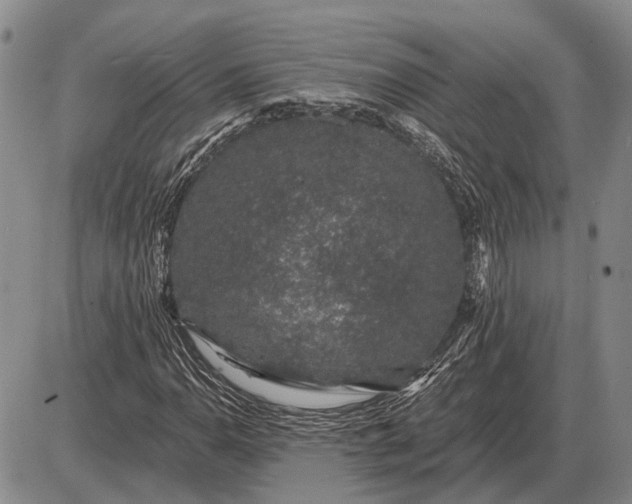 X0000085061110200703191317