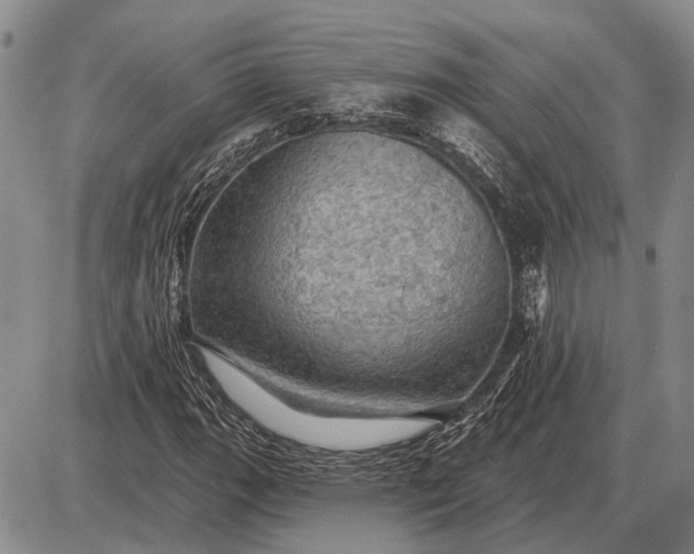 X0000085061111200703191317