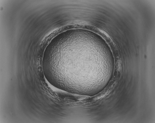 X0000085061112200703191317