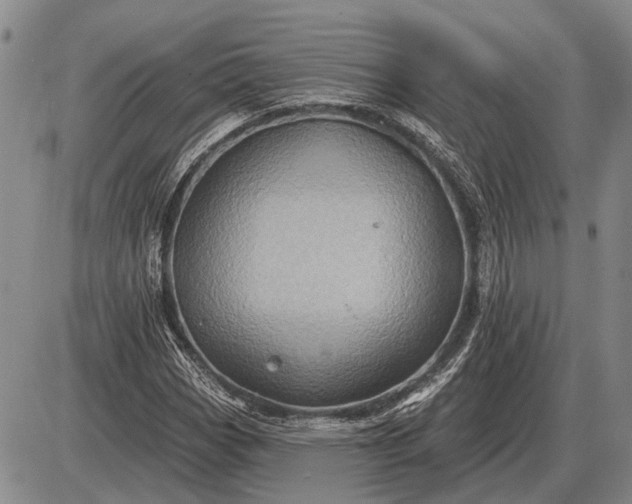 X0000085061113200703191317