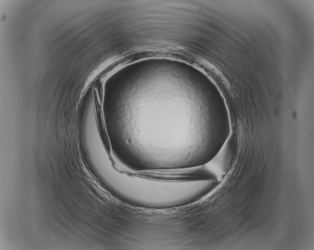 X0000085061114200703191317