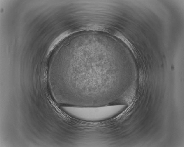 X0000085061115200703191317