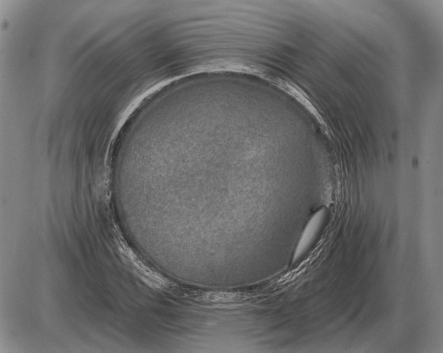 X0000085061116200703191317