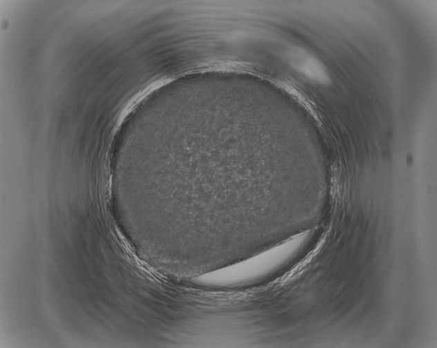 X0000085061117200703191317