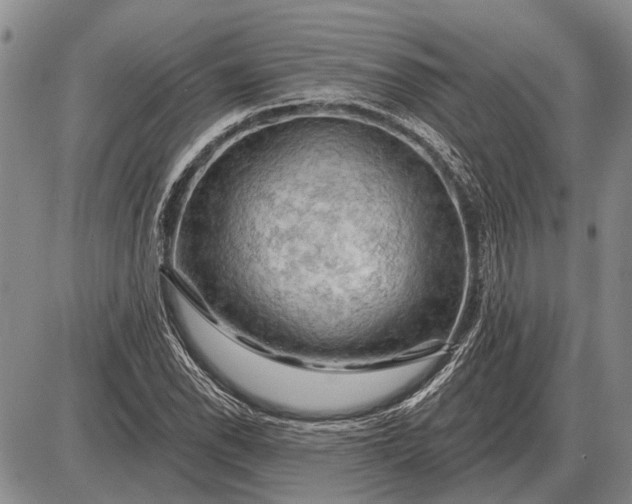 X0000085061118200703191317