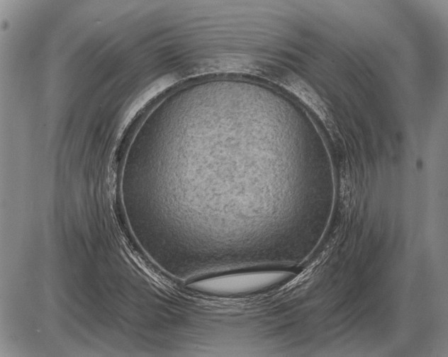 X0000085061119200703191318