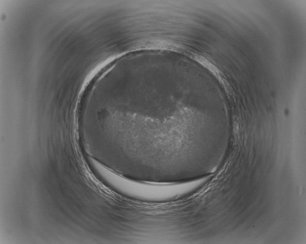 X0000085061120200703191318