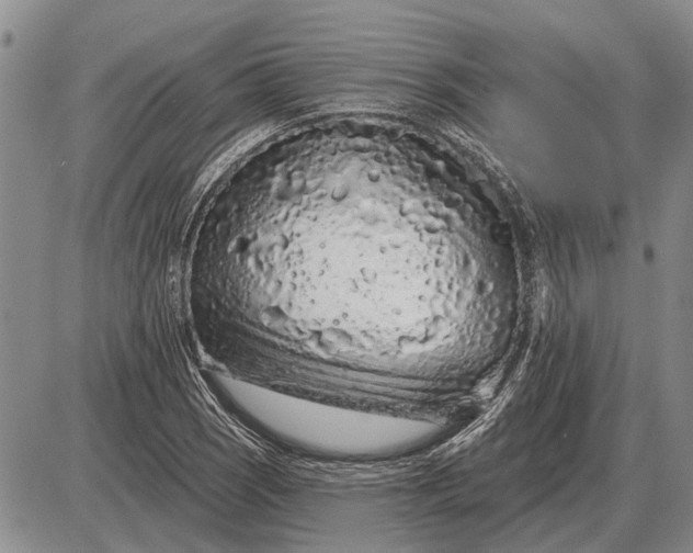 X0000085061121200703191318